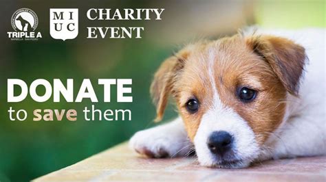pet charity organizations.